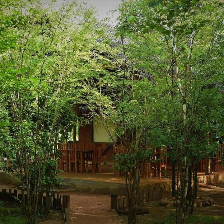 Sky Forest 哈伯勒内 外观 照片